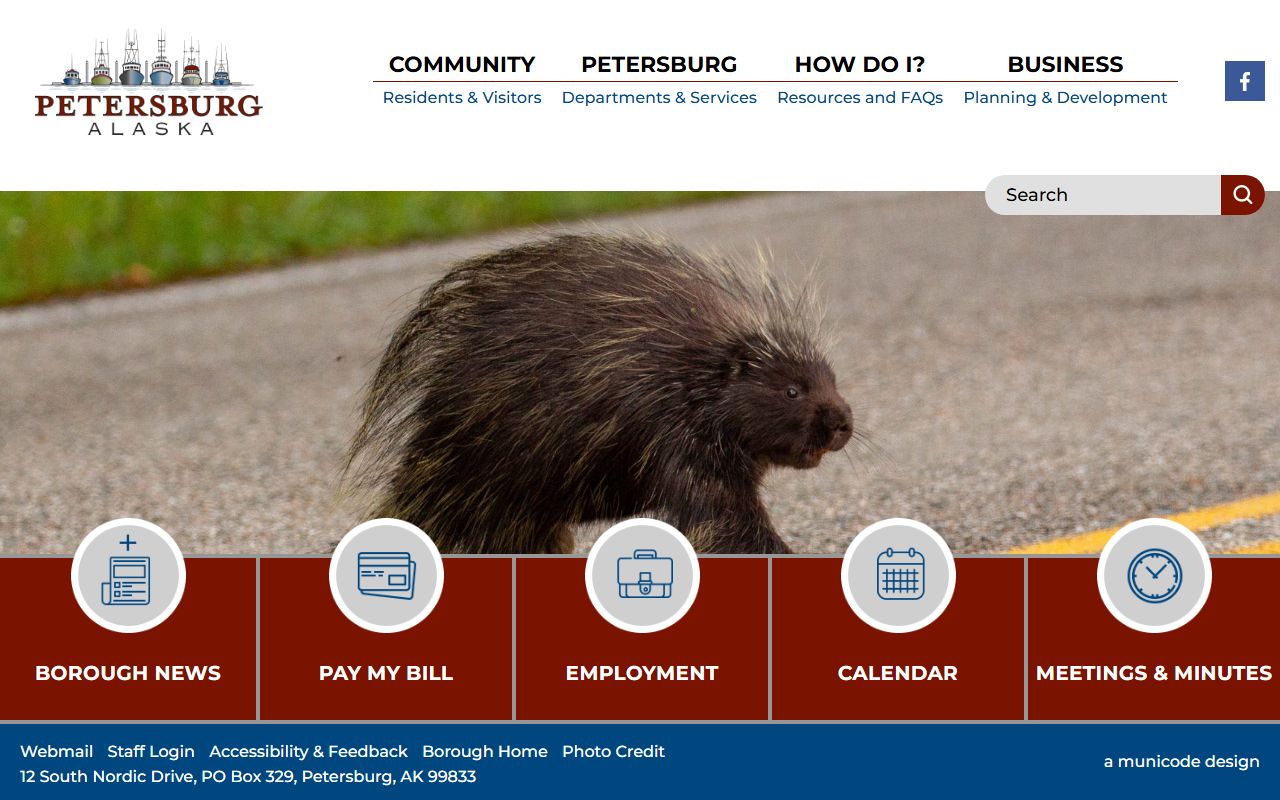 Petersburg Traffic Court Records borough site